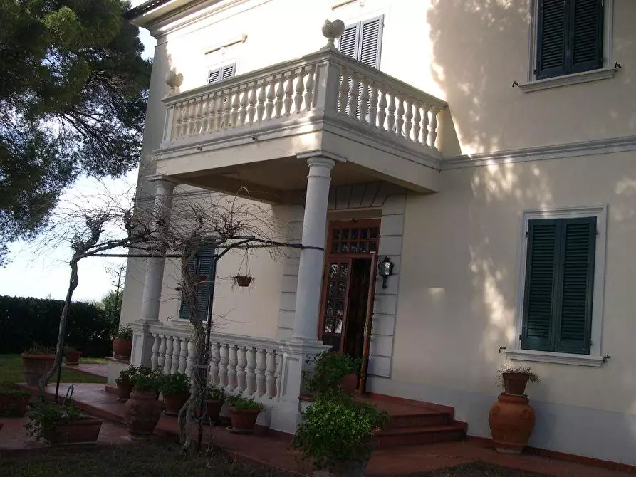 Immagine 48 di Terreno agricolo in vendita  a Casale Marittimo