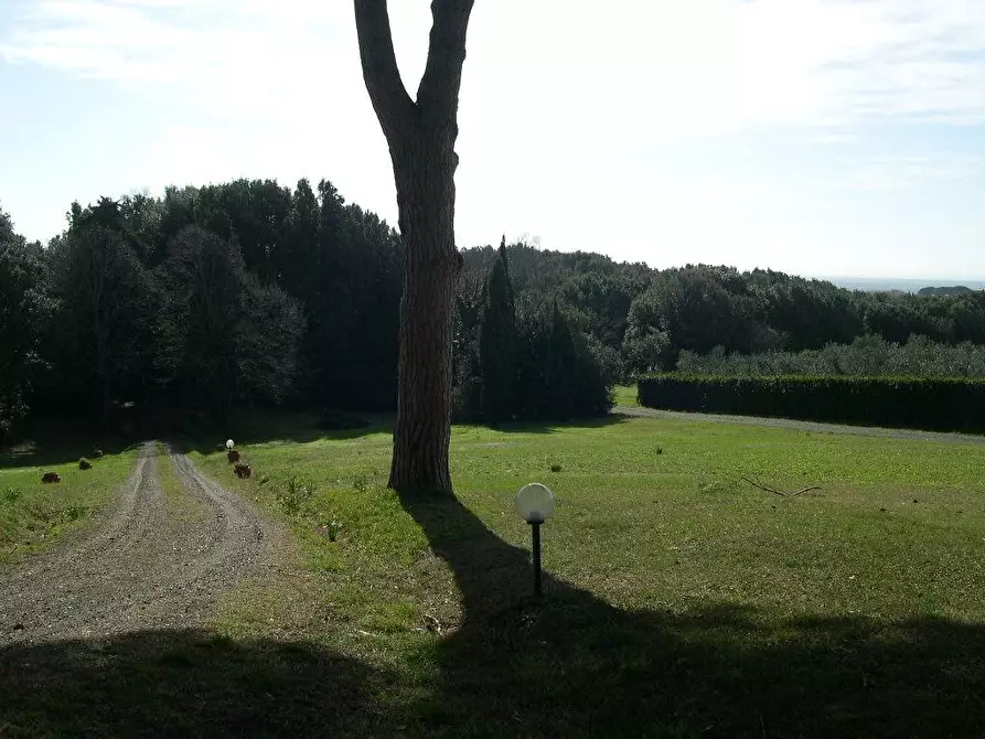 Immagine 24 di Terreno agricolo in vendita  a Casale Marittimo