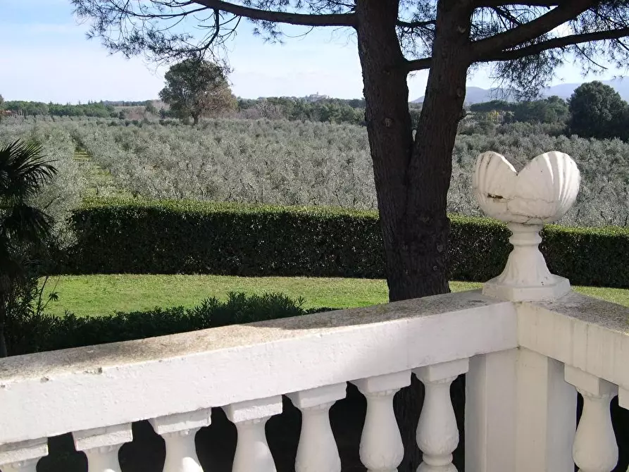 Immagine 41 di Villa in vendita  a Casale Marittimo