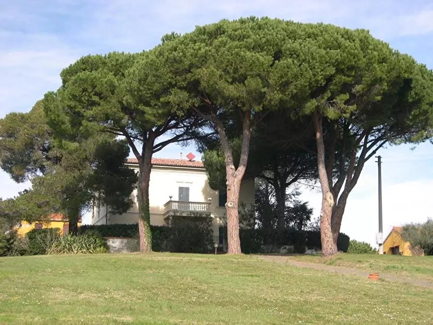 Immagine 50 di Villa in vendita  a Casale Marittimo
