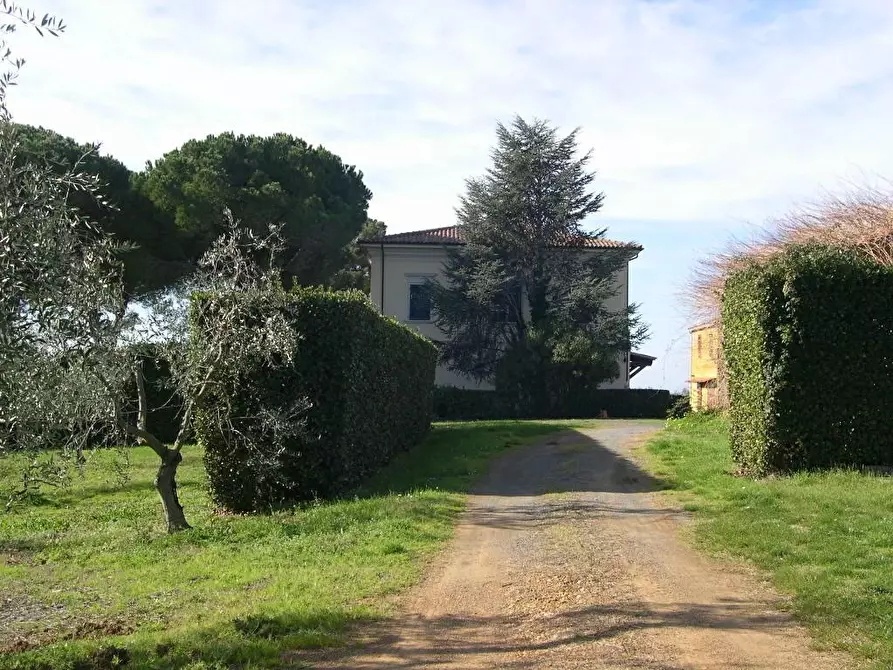 Immagine 17 di Villa in vendita  a Casale Marittimo