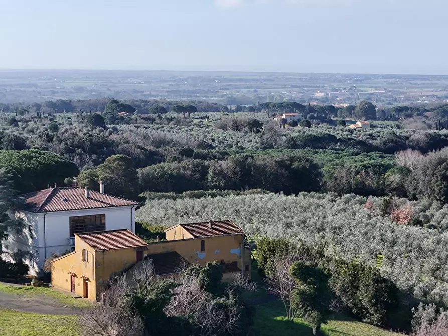 Immagine 58 di Villa in vendita  a Casale Marittimo