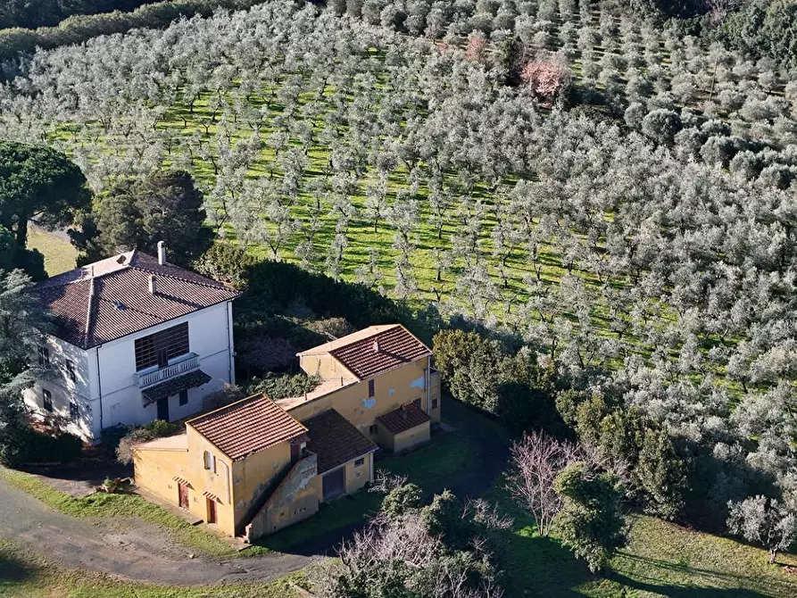 Immagine 57 di Villa in vendita  a Casale Marittimo