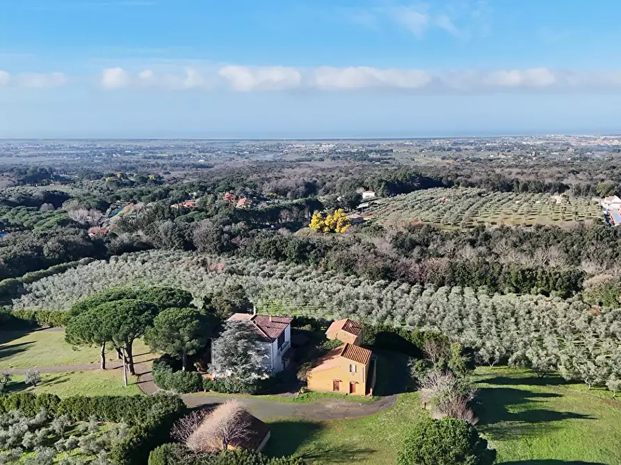 Immagine 55 di Villa in vendita  a Casale Marittimo
