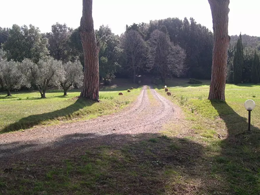 Immagine 26 di Villa in vendita  a Casale Marittimo