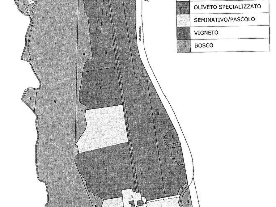 Immagine 52 di Villa in vendita  a Casale Marittimo