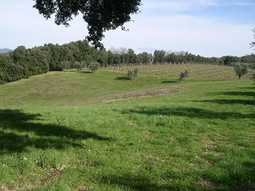 Immagine 12 di Villa in vendita  a Casale Marittimo