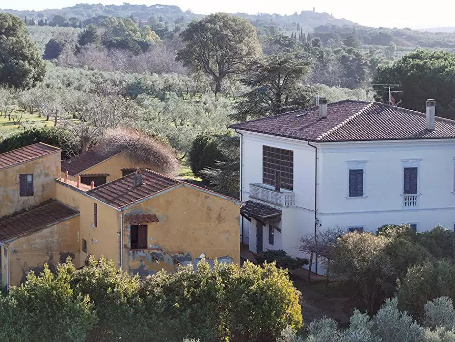 Immagine 60 di Villa in vendita  a Casale Marittimo