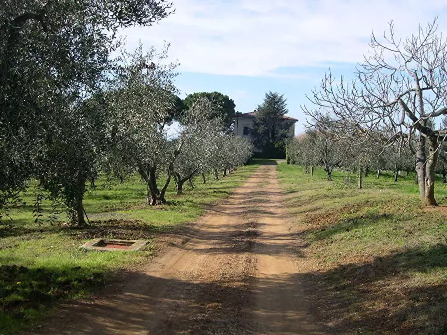 Immagine 15 di Villa in vendita  a Casale Marittimo