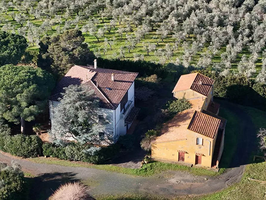 Immagine 56 di Villa in vendita  a Casale Marittimo