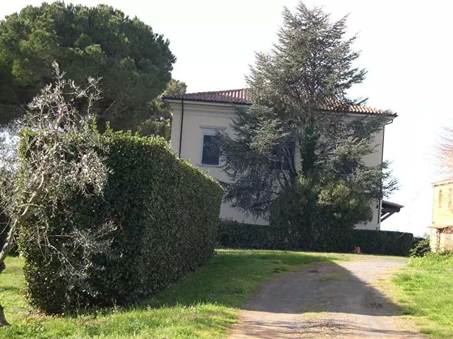 Immagine 18 di Villa in vendita  a Casale Marittimo