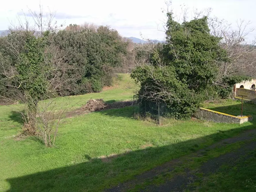 Immagine 6 di Villa in vendita  a Casale Marittimo