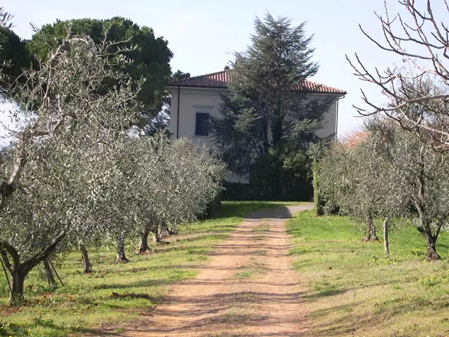 Immagine 16 di Villa in vendita  a Casale Marittimo