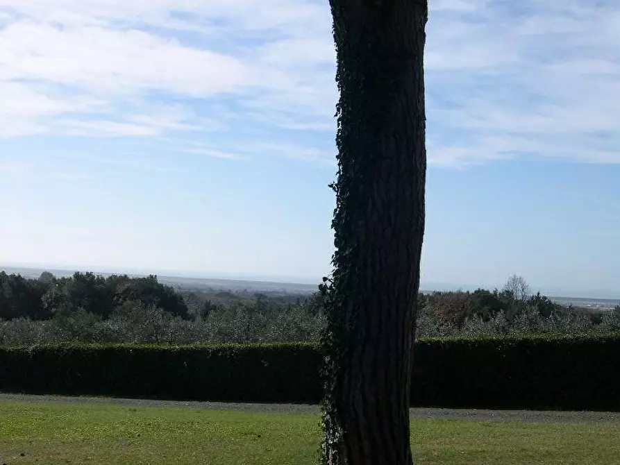 Immagine 29 di Villa in vendita  a Casale Marittimo