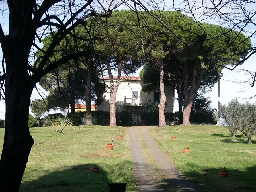 Immagine 7 di Villa in vendita  a Casale Marittimo