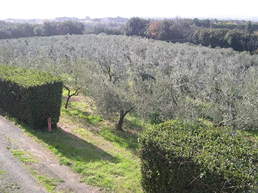 Immagine 36 di Villa in vendita  a Casale Marittimo