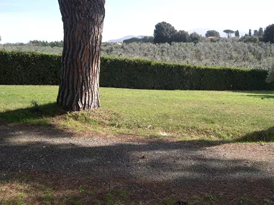 Immagine 27 di Villa in vendita  a Casale Marittimo