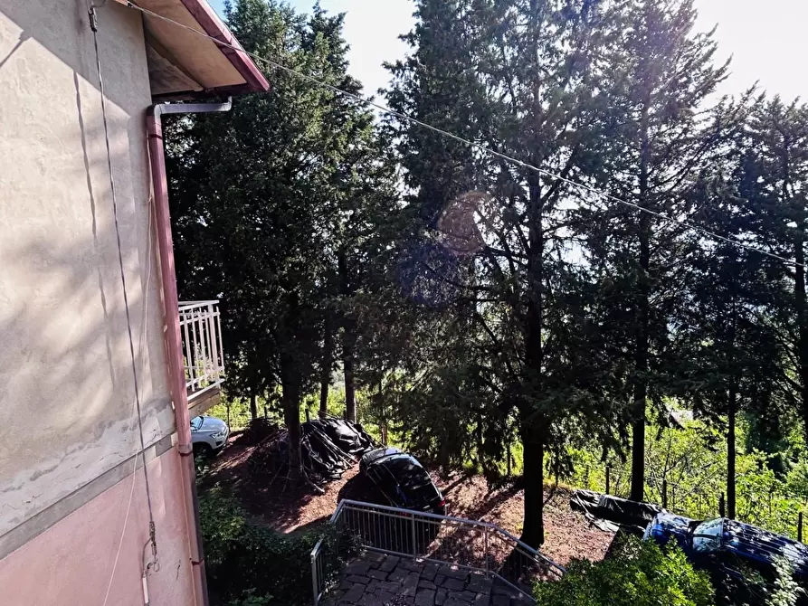 Immagine 10 di Albergo/B&B/Residence in vendita  a Licciana Nardi