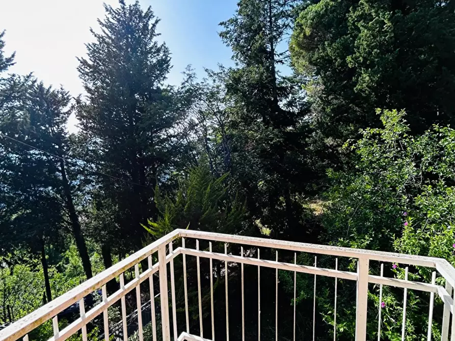 Immagine 9 di Albergo/B&B/Residence in vendita  a Licciana Nardi