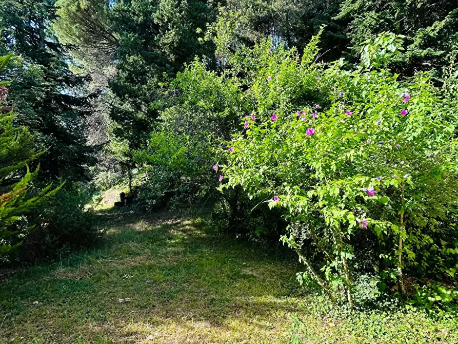 Immagine 3 di Albergo/B&B/Residence in vendita  a Licciana Nardi