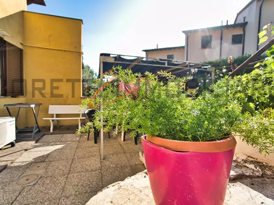 Immagine 3 di Appartamento in vendita  a Monterotondo Marittimo