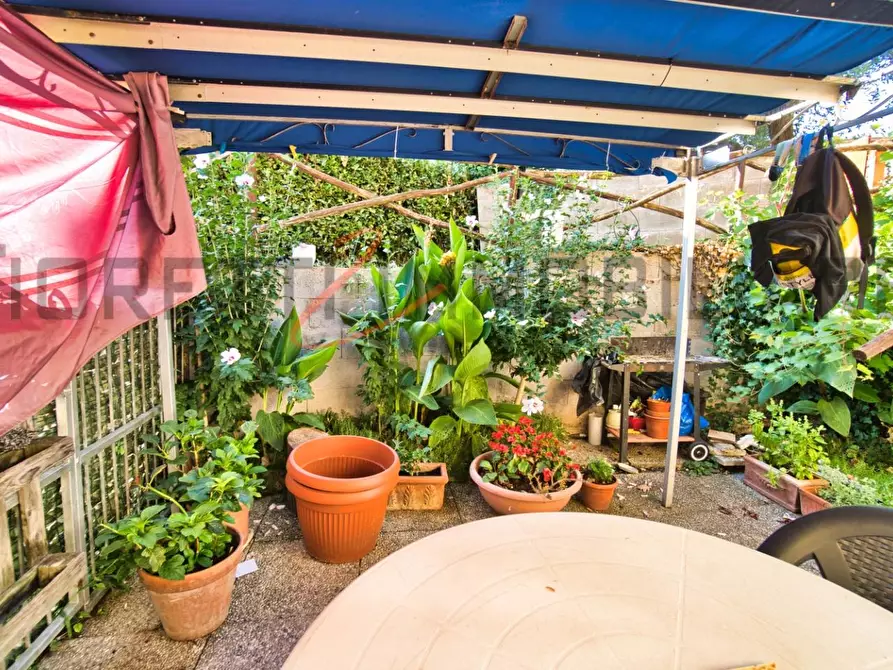 Immagine 10 di Appartamento in vendita  a Monterotondo Marittimo