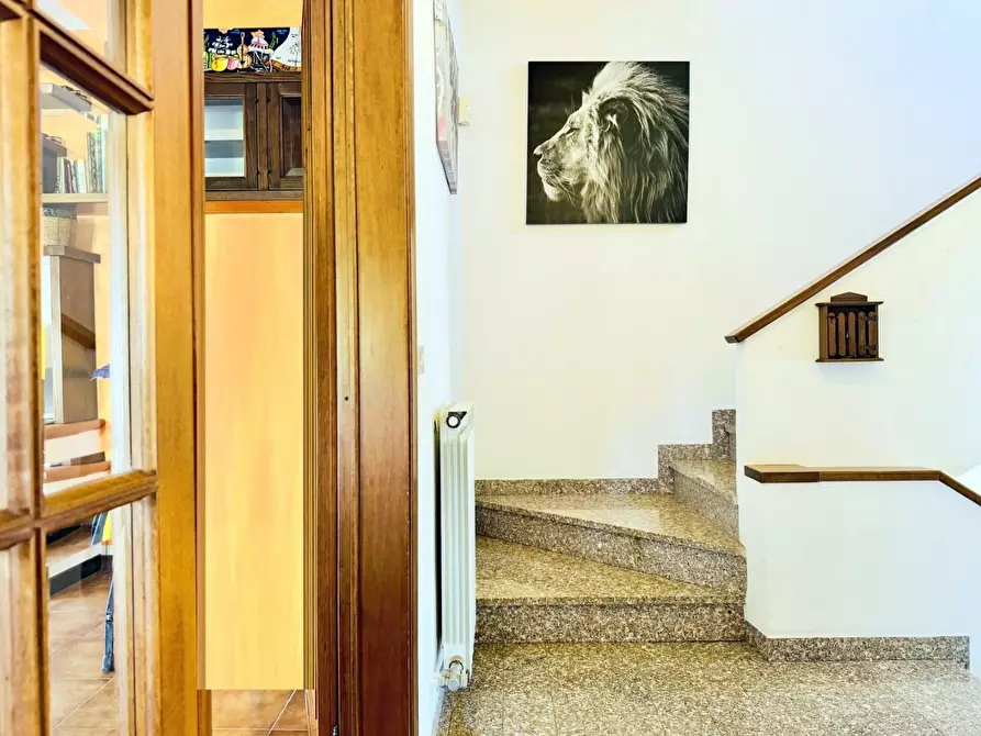 Immagine 27 di Casa trifamiliare in vendita  a Pietrasanta