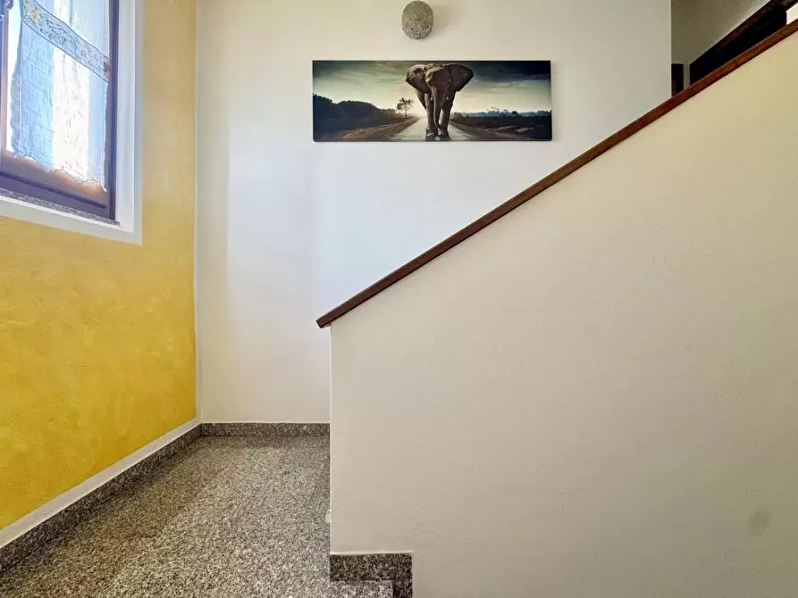 Immagine 4 di Casa trifamiliare in vendita  a Pietrasanta