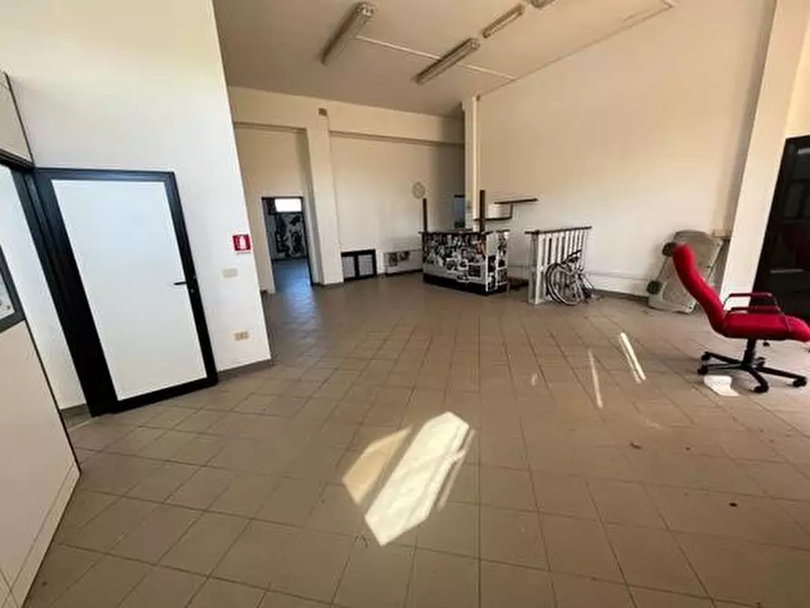 Immagine 6 di Attività artigianale in vendita  a Bibbona