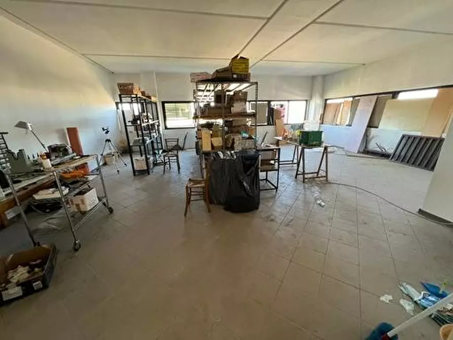 Immagine 11 di Attività artigianale in vendita  a Bibbona