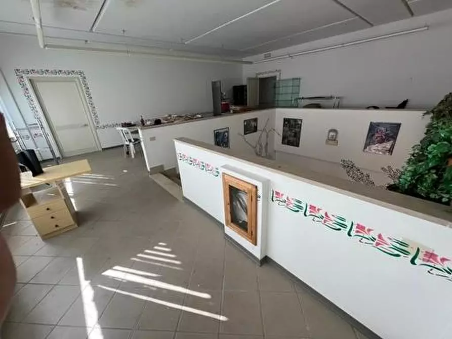 Immagine 3 di Attività artigianale in vendita  a Bibbona