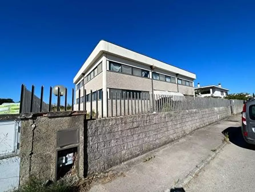 Immagine 2 di Attività artigianale in vendita  a Bibbona