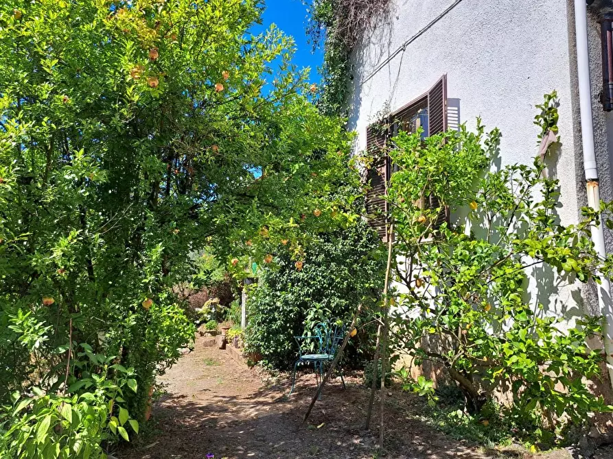 Immagine 6 di Casa indipendente in vendita  a Massa