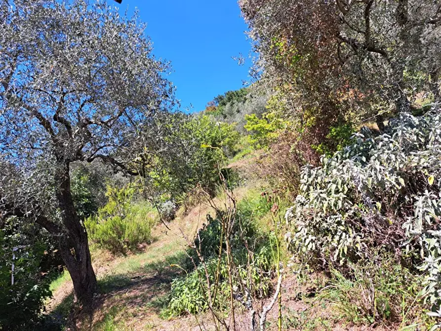 Immagine 9 di Casa indipendente in vendita  a Massa