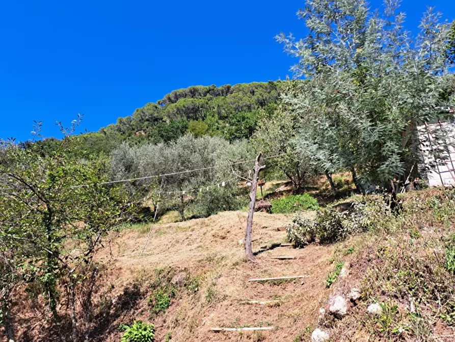 Immagine 2 di Casa indipendente in vendita  a Massa