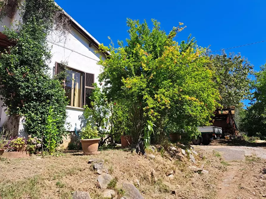 Immagine 10 di Casa indipendente in vendita  a Massa