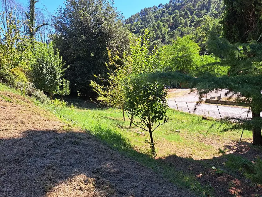 Immagine 11 di Casa indipendente in vendita  a Massa