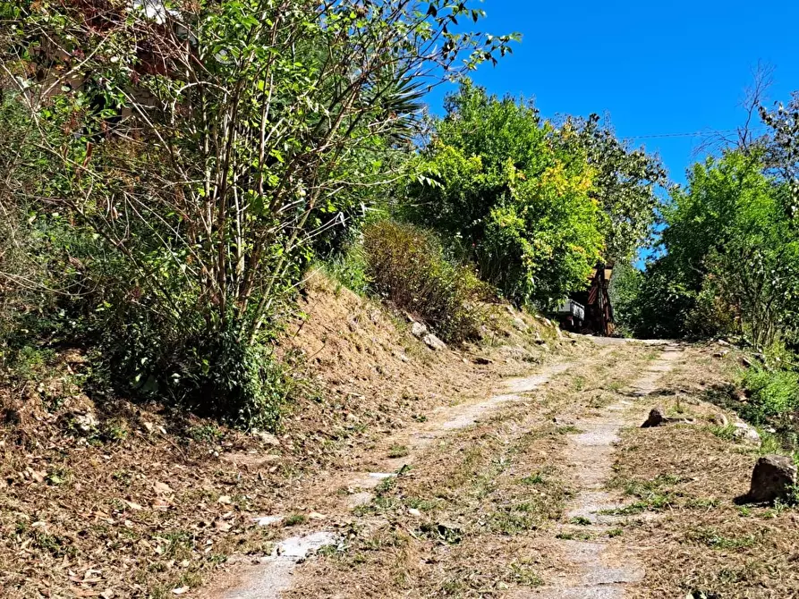 Immagine 8 di Casa indipendente in vendita  a Massa