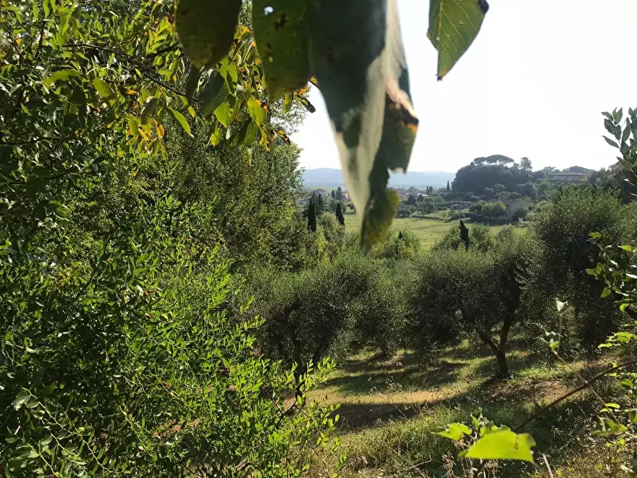 Immagine 5 di Villa in vendita  a Capannoli