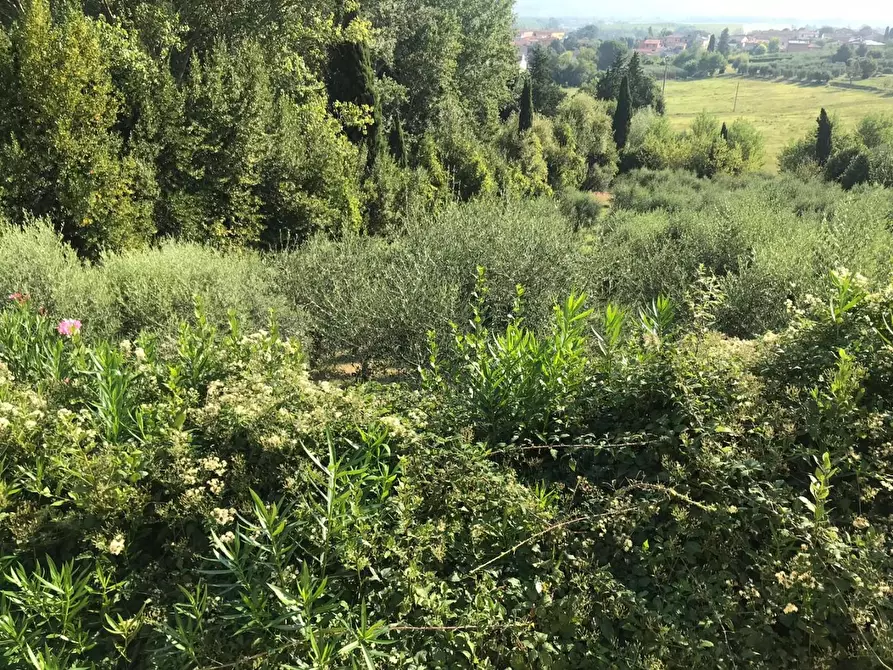 Immagine 7 di Villa in vendita  a Capannoli