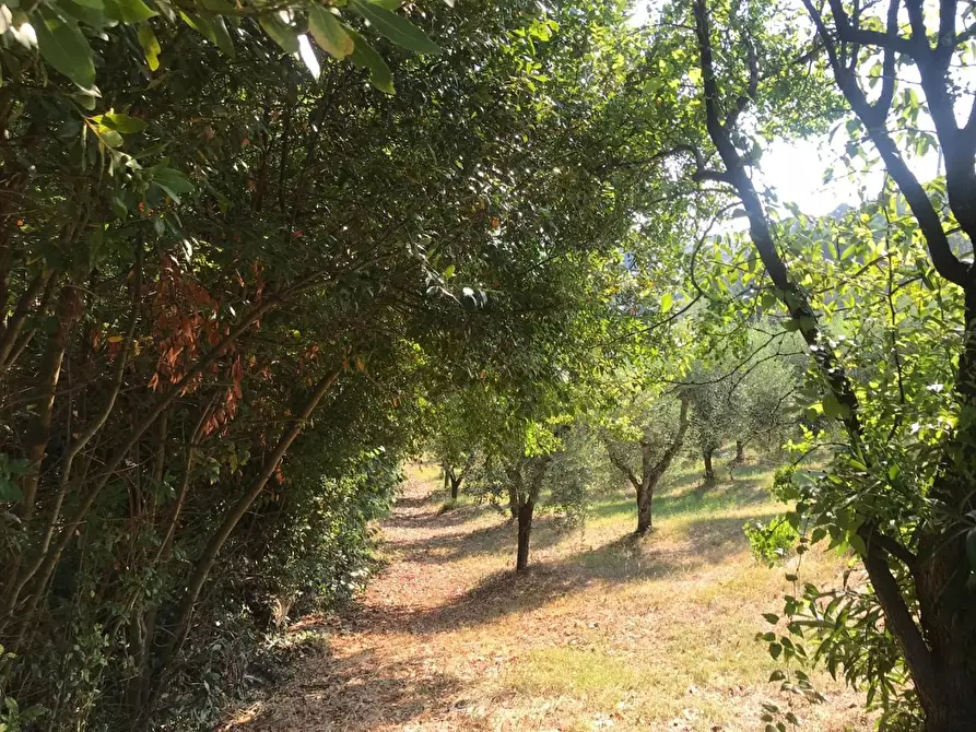 Immagine 6 di Villa in vendita  a Capannoli