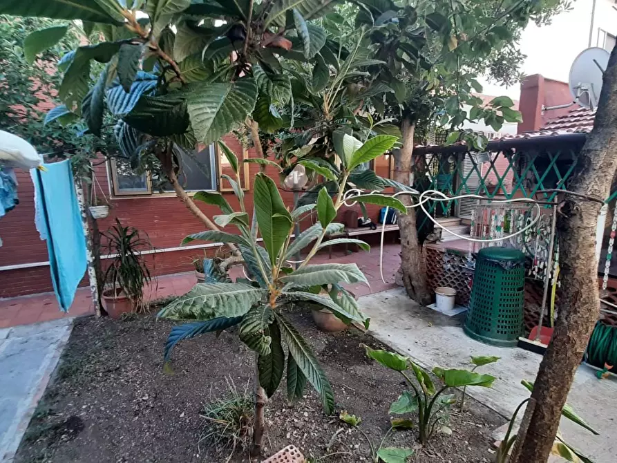 Immagine 31 di Appartamento in vendita  a Rosignano Marittimo