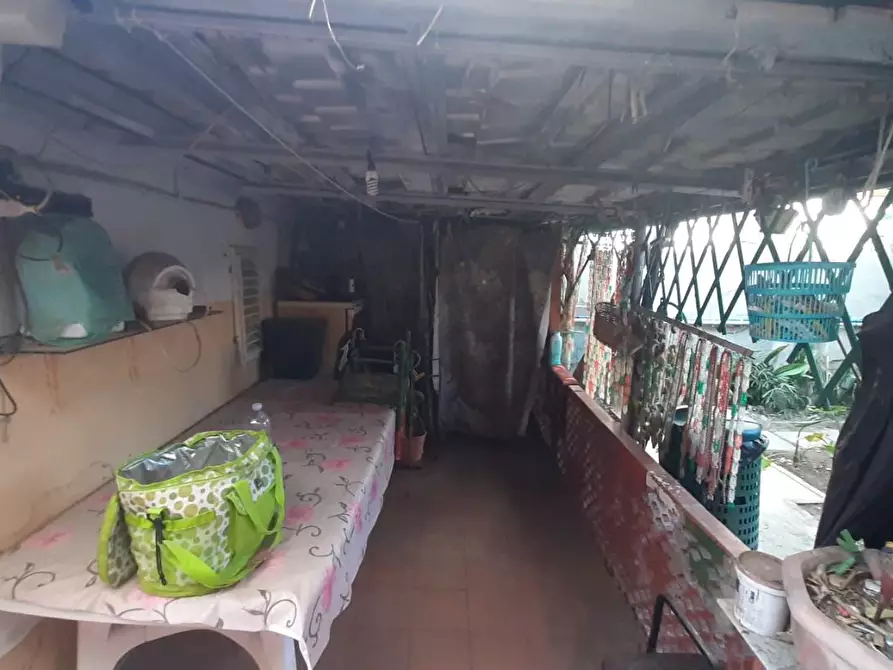 Immagine 29 di Appartamento in vendita  a Rosignano Marittimo