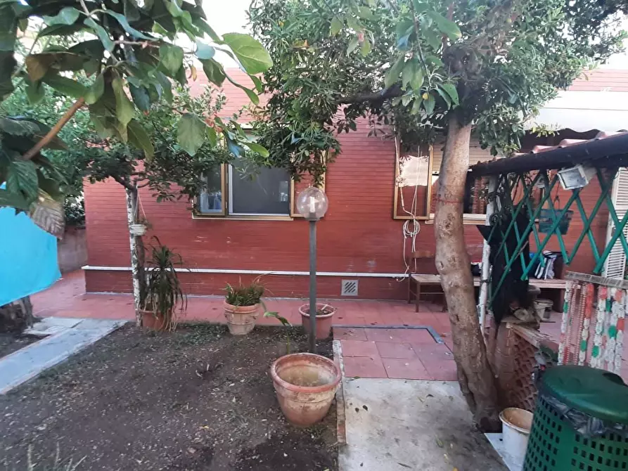 Immagine 30 di Appartamento in vendita  a Rosignano Marittimo