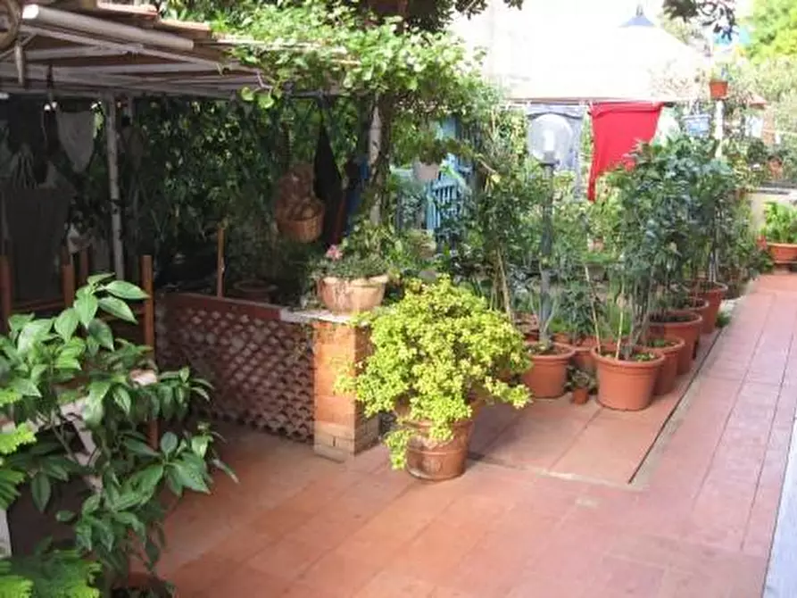 Immagine 26 di Appartamento in vendita  a Rosignano Marittimo