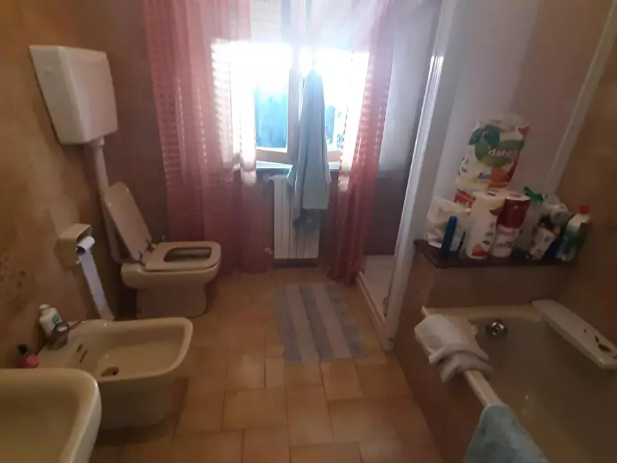 Immagine 24 di Appartamento in vendita  a Rosignano Marittimo