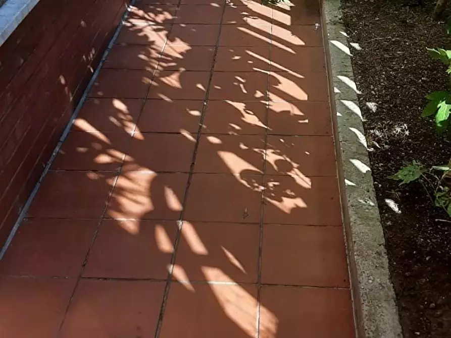 Immagine 34 di Appartamento in vendita  a Rosignano Marittimo