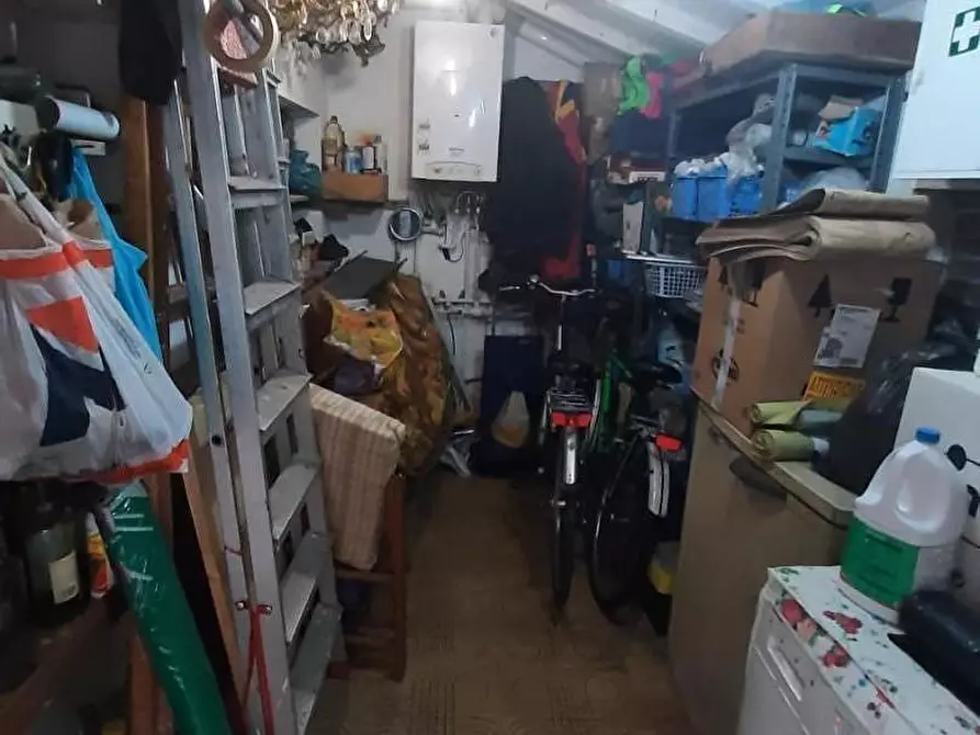 Immagine 28 di Appartamento in vendita  a Rosignano Marittimo