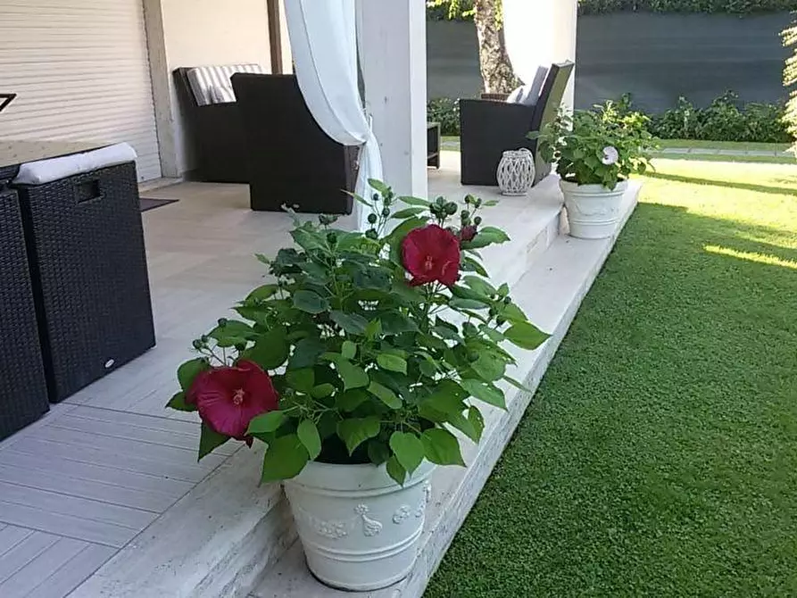 Immagine 5 di Villa in affitto  a Forte Dei Marmi