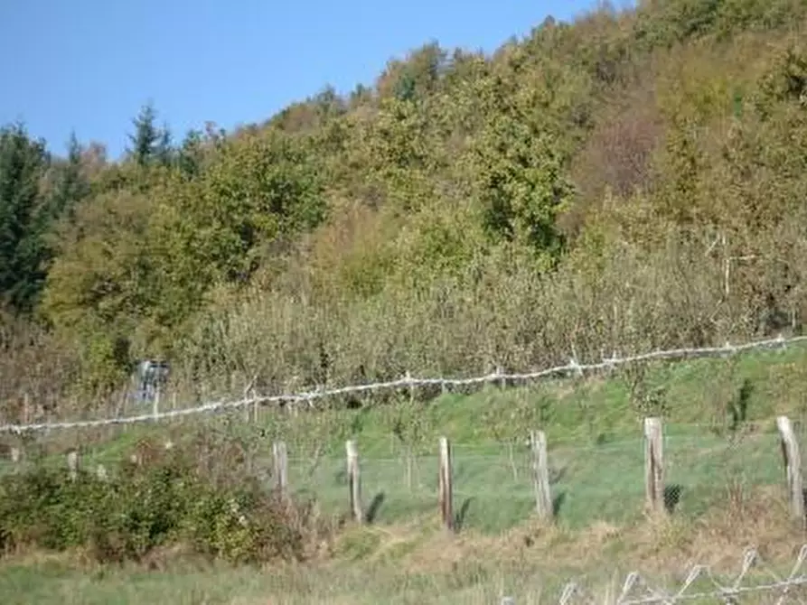 Immagine 32 di Rustico / casale in vendita  a Fivizzano